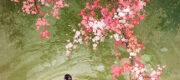 A Nhược Có Thần Linh