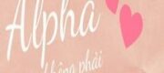 Alpha Cũng Không Phải Không Được