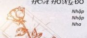 Ánh Trăng Từng Hôn Hoa Hồng Đỏ