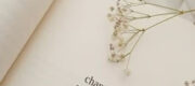 Bạn Có Tha Thứ Cho Người Từng Làm Bạn Tổn Thương?