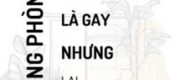 Bạn Cùng Phòng Là Gay - Độ Hải Bất Thị Y Sinh