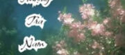 Bàng Thượng Tra Nam Tổ Sư