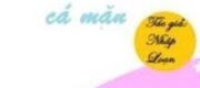 Beta Này Quá Cá Mặn