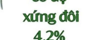 Bị Cấp Dưới Có Độ Xứng Đôi 4,2% Đánh Dấu