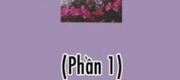 Bí Kíp Giảm Cân
