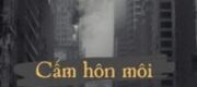 Cấm Hôn Môi