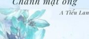 Chanh Mật Ong