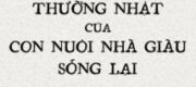 Cuộc Sống Thường Nhật Của Con Nuôi Nhà Giàu Sống Lại