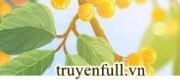 Cút, Lão Tử Không Cần Ngươi Nữa