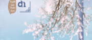 Đế Vương Thiên Ái
