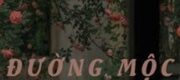 Đường Mộc Vẫn Thế