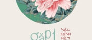 Gặp Một Đoá Hoa Mới - Nặc Danh Hàm Ngư