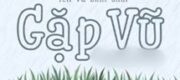 Gặp Vũ