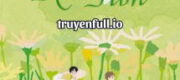 Giả Vờ Kết Hôn - Khuyển Thăng