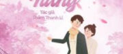 Gió Đêm Hôn Tia Nắng - Thẩm Thanh Lí