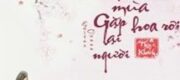 Giữa Mùa Hoa Rơi Gặp Lại Người
