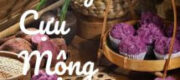 Hải Đường Cựu Mộng