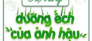 Hệ Thống Dưỡng Ếch Của Ảnh Hậu - Thỏ Nhĩ Tề