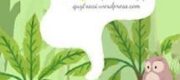 Hệ Thống Trẻ Em Hư
