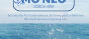 Hiệu Ứng Mỏ Neo