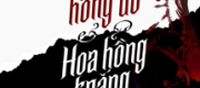 Hoa Hồng Đỏ Và Hoa Hồng Trắng Ở Bên Nhau