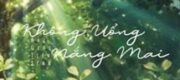 Không Uổng Nắng Mai