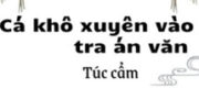 Làm Một Con Cá Mặn Trong Tiểu Thuyết Trinh Thám (Cá Khô Xuyên Vào Tra Án Văn)