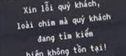 Loài Chim Mà Quý Khách Đang Tìm Kiếm Hiện Không Tồn Tại