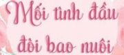 Mối Tình Đầu Đòi Bao Nuôi