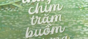 Một Thuyền Chìm, Trăm Buồm Giương