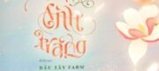 Mùa Xuân Và Ánh Trăng