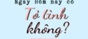 Ngày Hôm Nay Có Tỏ Tình Không?