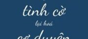 Ngỡ Tình Cờ Lại Hoá Cơ Duyên