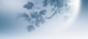 Ngoảnh Lại Thấy Hoa Nở