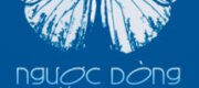 Ngược Dòng Cùng Sương Mờ - Trừng Tịch