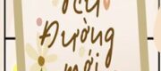 Người Cũ Đường Mới