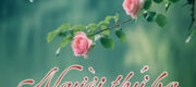 Người Thứ Ba - Tiểu Hạ