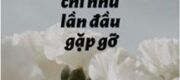 Nhân Sinh Nếu Chỉ Như Lần Đầu Gặp Gỡ