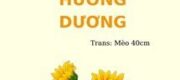 Nhật Ký Hoa Hướng Dương