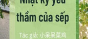 Nhật Ký Yêu Thầm Của Sếp