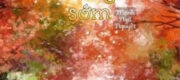 Nhịp Tim Sáng Sớm