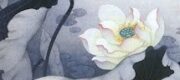 Nữ Đế Giá Đáo Cường Thế Liêu (Từ Thế Giới 5)