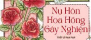 Nụ Hôn Hoa Hồng Gây Nghiện