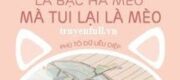 Phải Làm Sao Khi Đối Thủ Một Mất Một Còn Là Cỏ Mèo Bạc Hà Mà Tui Lại Là Mèo