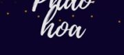 Pháo Hoa - R Công Chaos