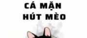 Pháo Hôi Nữ Phụ Nàng Chỉ Muốn Cá Mặn Hút Mèo