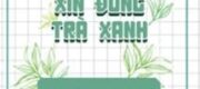 Pháo Hôi Thụ Xin Đừng Trà Xanh
