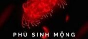 Phù Sinh Mộng Sát Nông