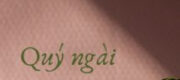 Quý Ngài Ngang Ngược - Tuế Duy