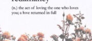 Redamancy